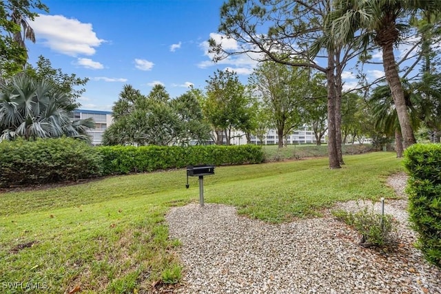 view of community featuring a lawn