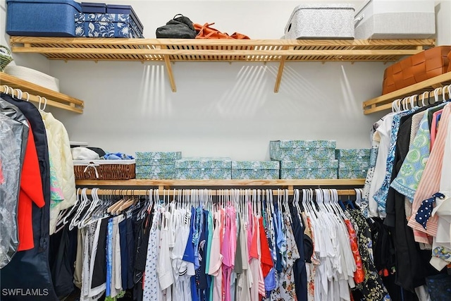 view of spacious closet