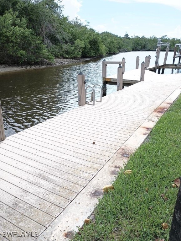 dock area featuring a water view