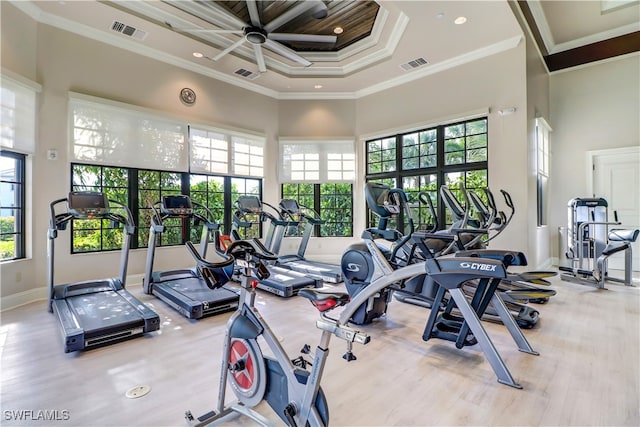 exercise room featuring crown molding, plenty of natural light, a towering ceiling, and light hardwood / wood-style floors