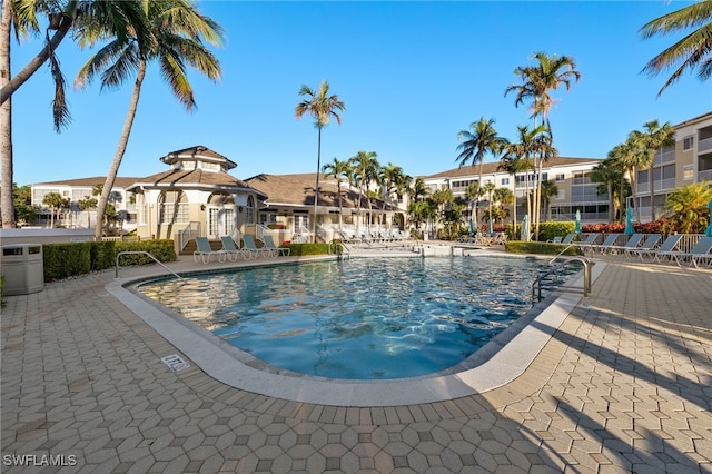 view of swimming pool featuring a patio area