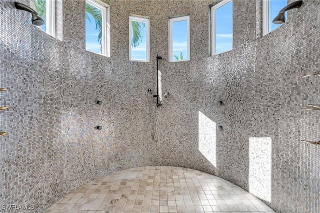 exterior space with a shower