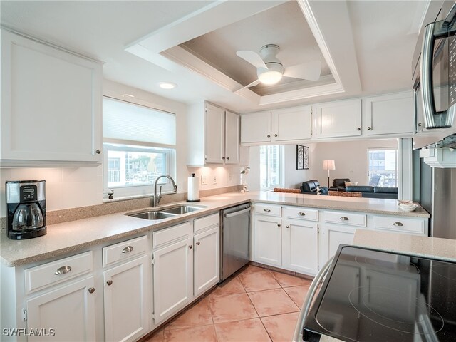 kitchen with a raised ceiling, plenty of natural light, white cabinets, and stainless steel appliances