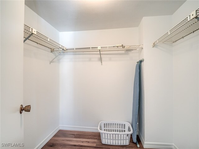 spacious closet with wood-type flooring