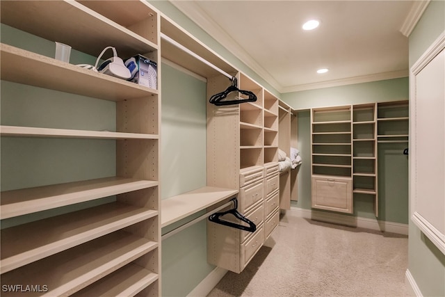 spacious closet featuring light carpet