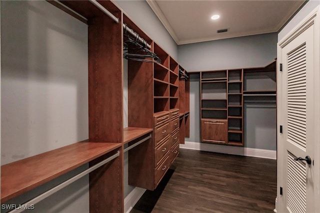 spacious closet featuring dark wood-type flooring