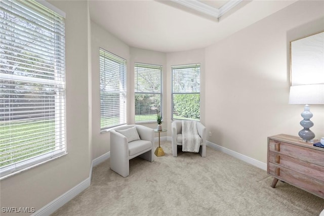 sitting room with carpet floors and baseboards