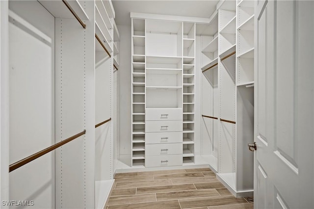 view of walk in closet