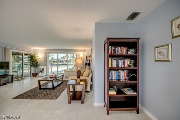 913 SE 43rd Ter, Cape Coral, FL 33904 - photo 9