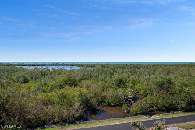 6849 Grenadier Blvd Unit 603, Naples, FL 34108 - water view