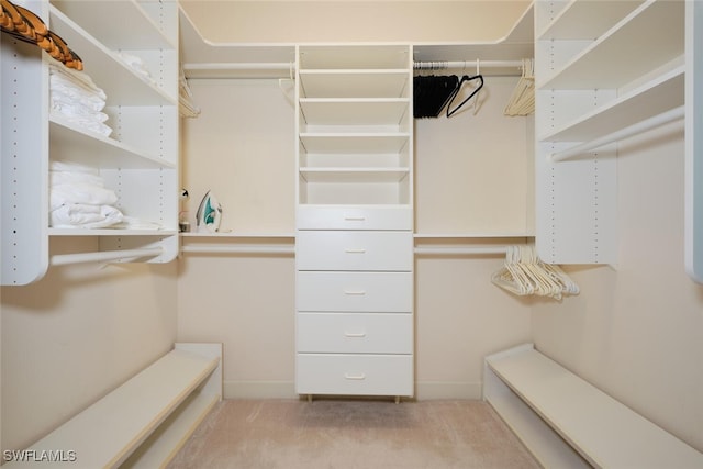 spacious closet featuring light carpet