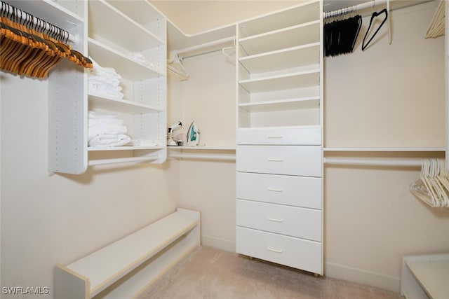 walk in closet featuring light colored carpet