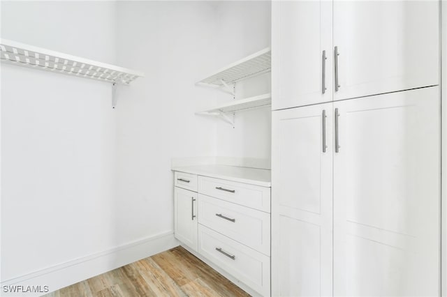 spacious closet featuring light wood-type flooring