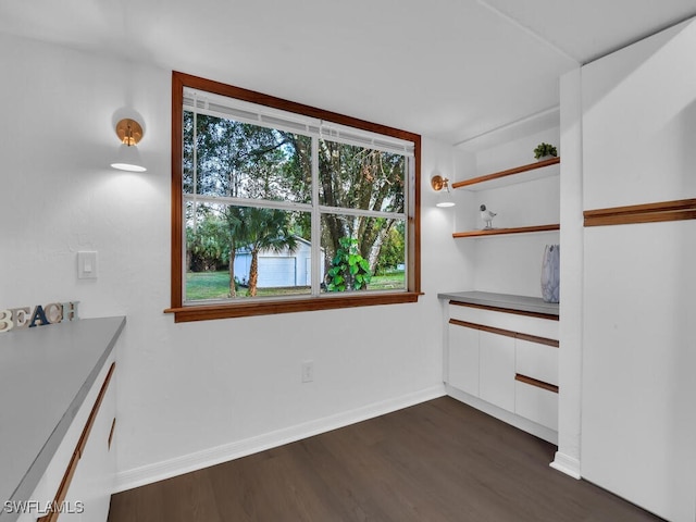 interior space featuring dark hardwood / wood-style flooring