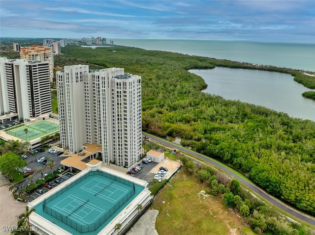 aerial view with a water view