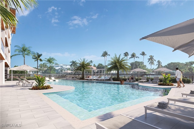 view of pool with a patio