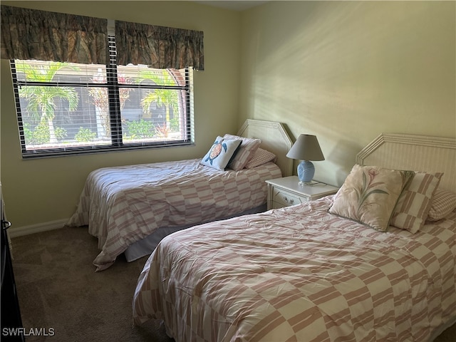 bedroom with carpet flooring