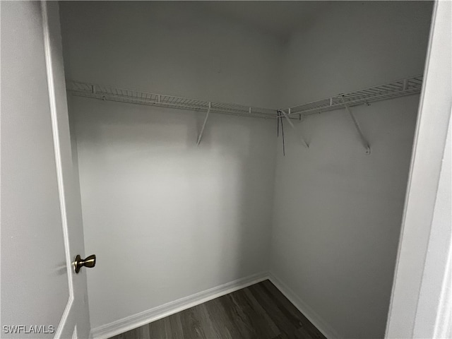 walk in closet with dark hardwood / wood-style floors