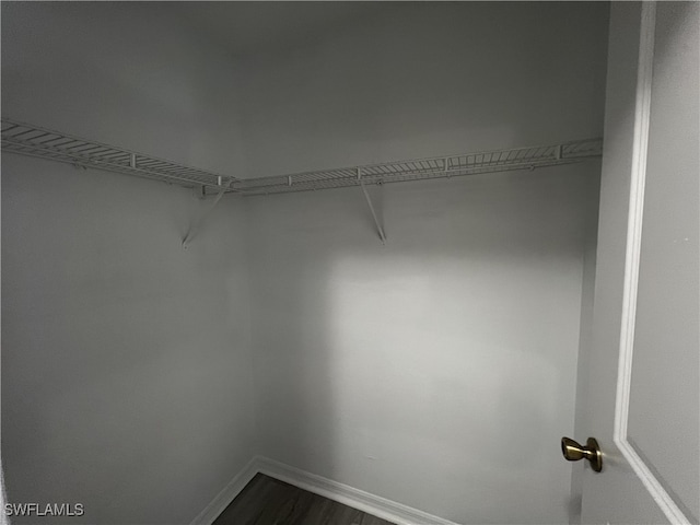 view of walk in closet