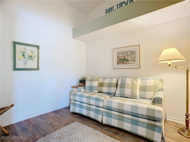 living room with hardwood / wood-style floors and lofted ceiling