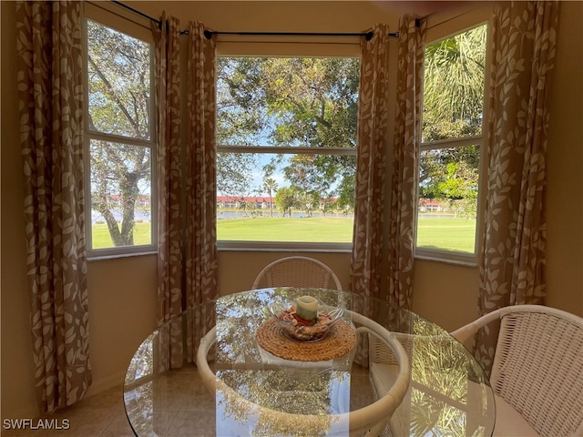 dining space featuring a wealth of natural light and tile patterned floors