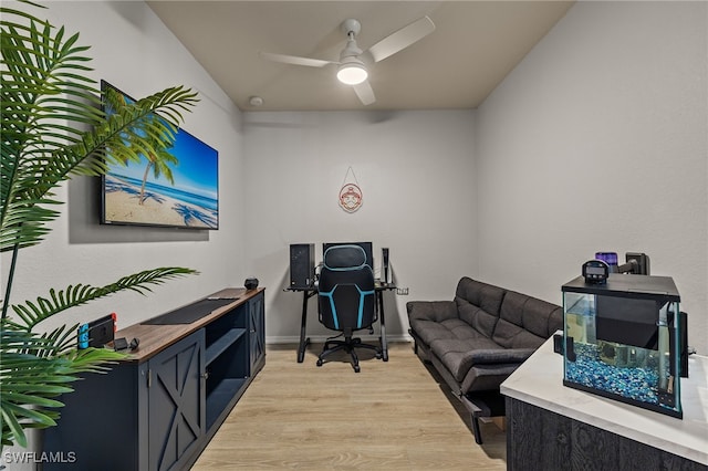 office with ceiling fan and light hardwood / wood-style flooring