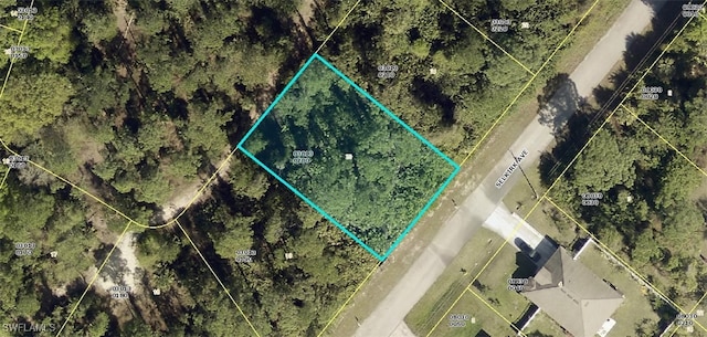 338 Selkirk Ave, Lehigh Acres FL, 33974 land for sale