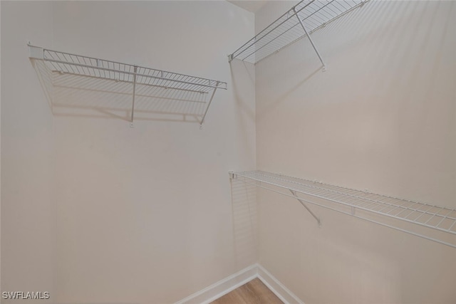 spacious closet with wood-type flooring