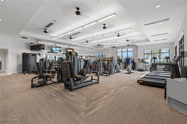 exercise room featuring a tray ceiling, ceiling fan, and carpet floors