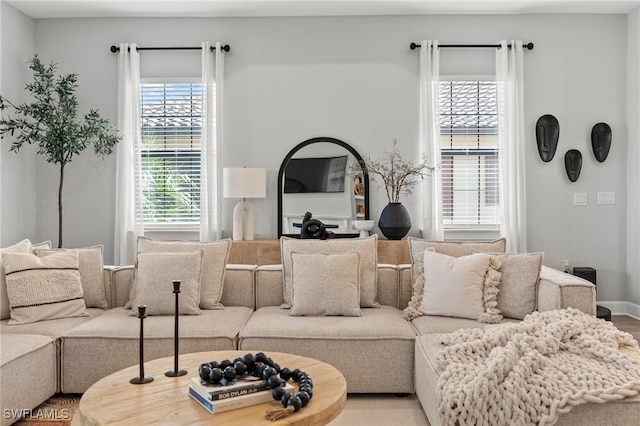 living room with hardwood / wood-style flooring