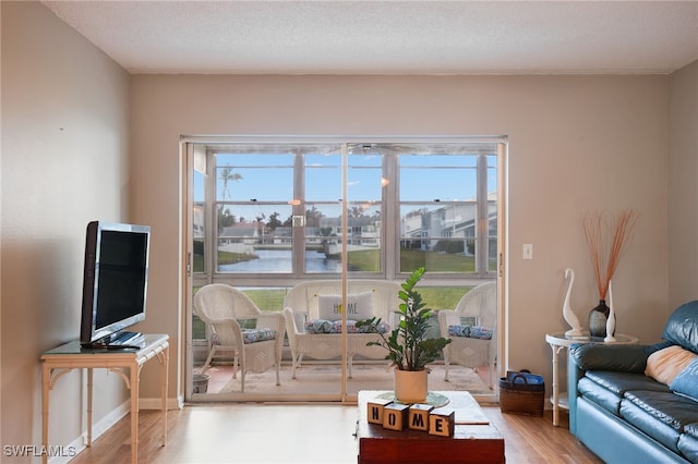 living room with hardwood / wood-style floors and a textured ceiling