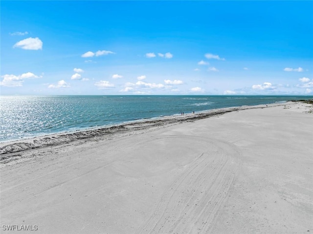 property view of water with a beach view