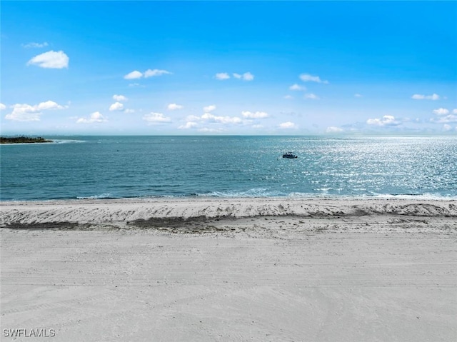 view of water feature featuring a beach view