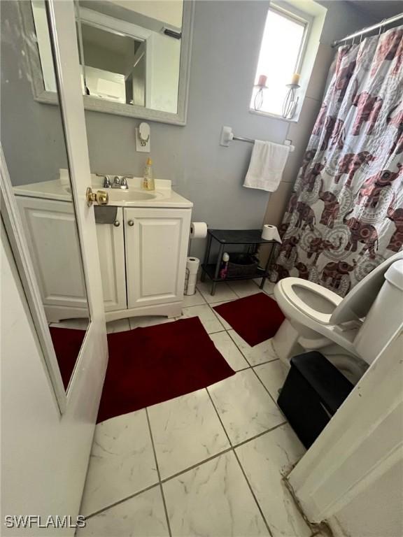 bathroom with vanity, toilet, and a shower with shower curtain