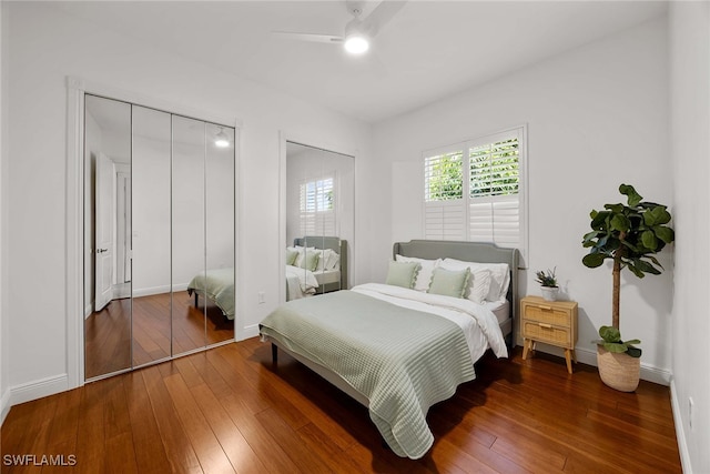 bedroom featuring ceiling fan, dark hardwood / wood-style floors, and two closets