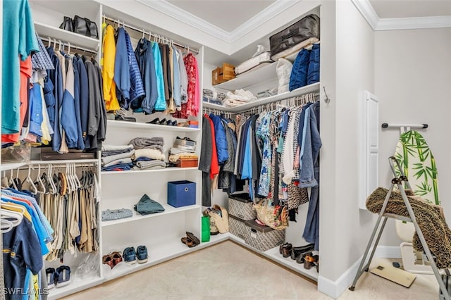 view of walk in closet