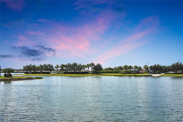 20533 Wilderness Ct, Estero, FL 33928 - water view