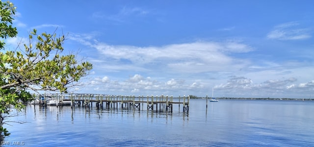 dock area featuring a water view