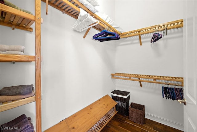 spacious closet featuring dark wood-type flooring