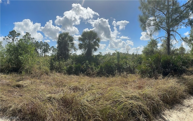 7861 1st Ter, Labelle FL, 33935 land for sale