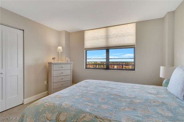 bedroom featuring carpet floors and a closet