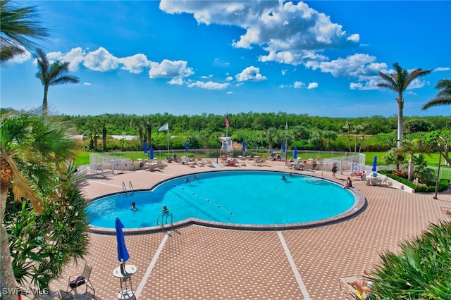 view of swimming pool featuring a patio