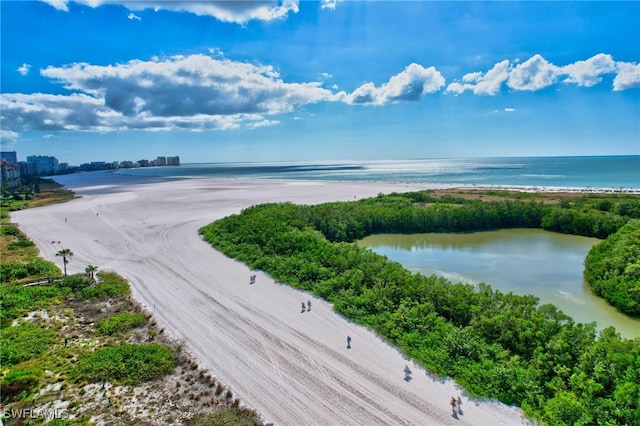 bird's eye view with a water view