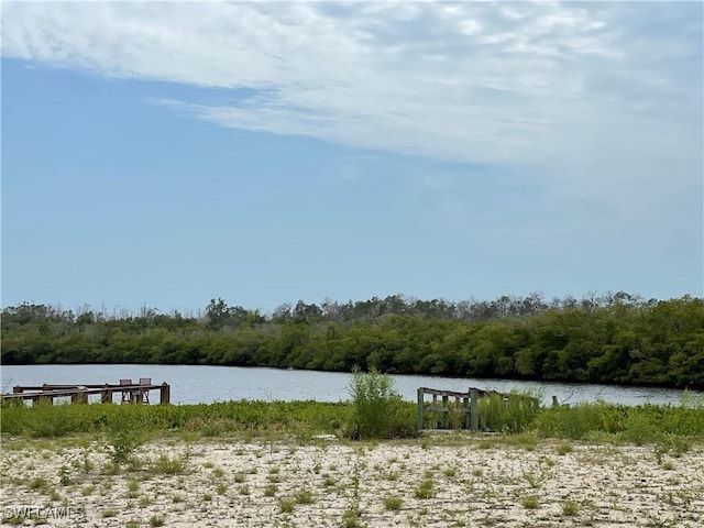 4717 Tahiti Dr, Bonita Springs, FL 34134 - photo 2