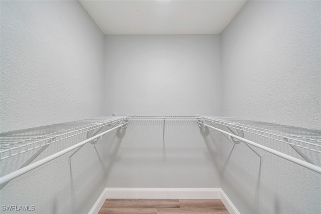 walk in closet with wood-type flooring