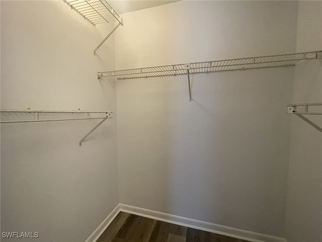 spacious closet featuring dark wood-type flooring