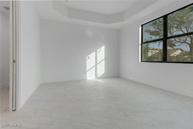 spare room featuring a raised ceiling and a healthy amount of sunlight