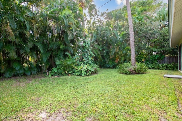 view of yard