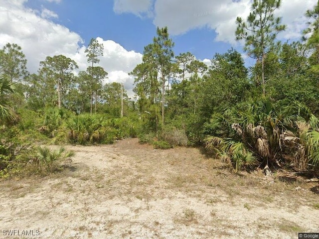 2318 Johns Ave, Alva FL, 33920 land for sale