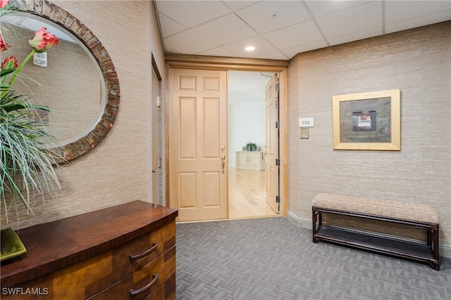 hall featuring a paneled ceiling and carpet flooring